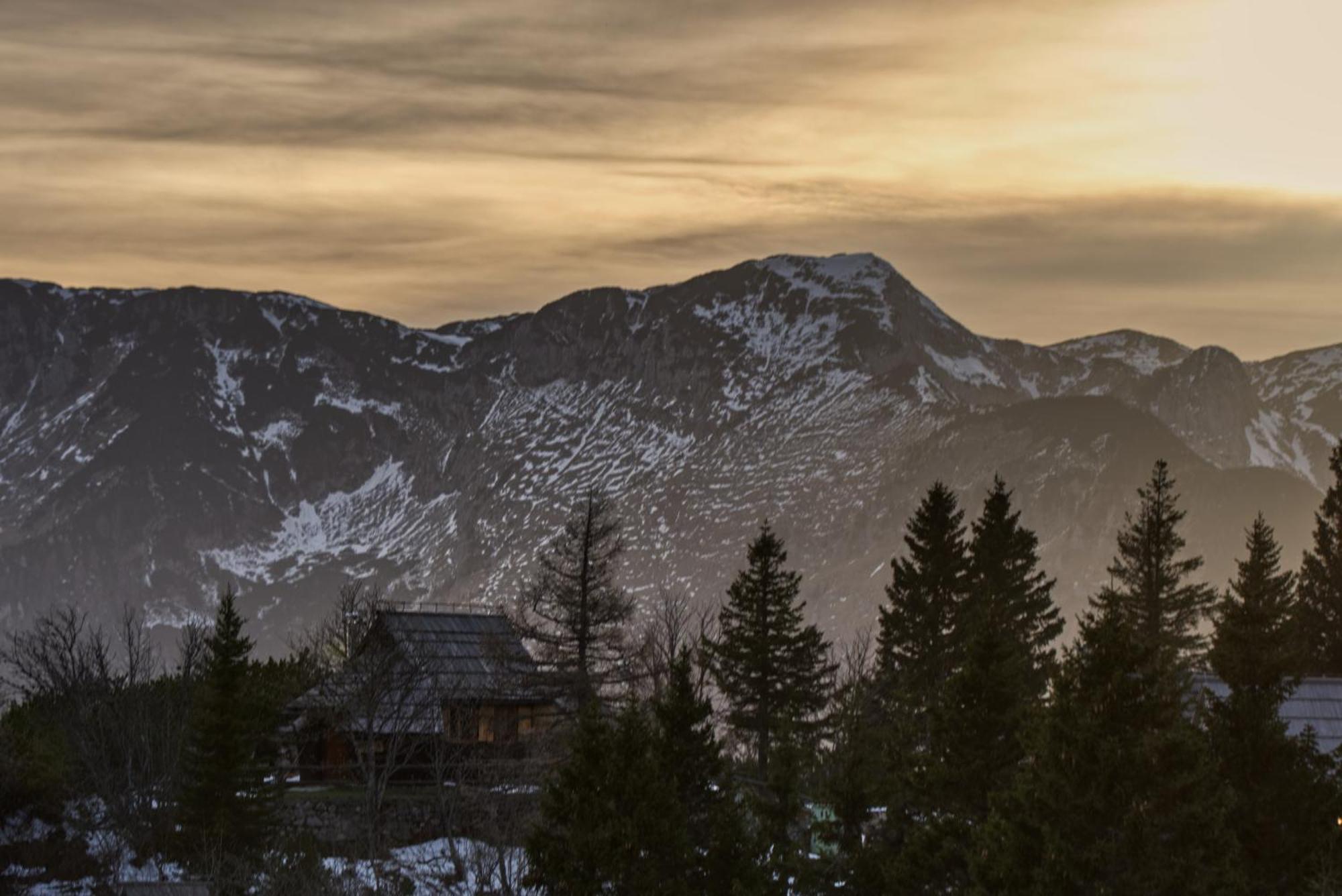 Koca Kronca - Velika Planina Stahovica Exterior photo