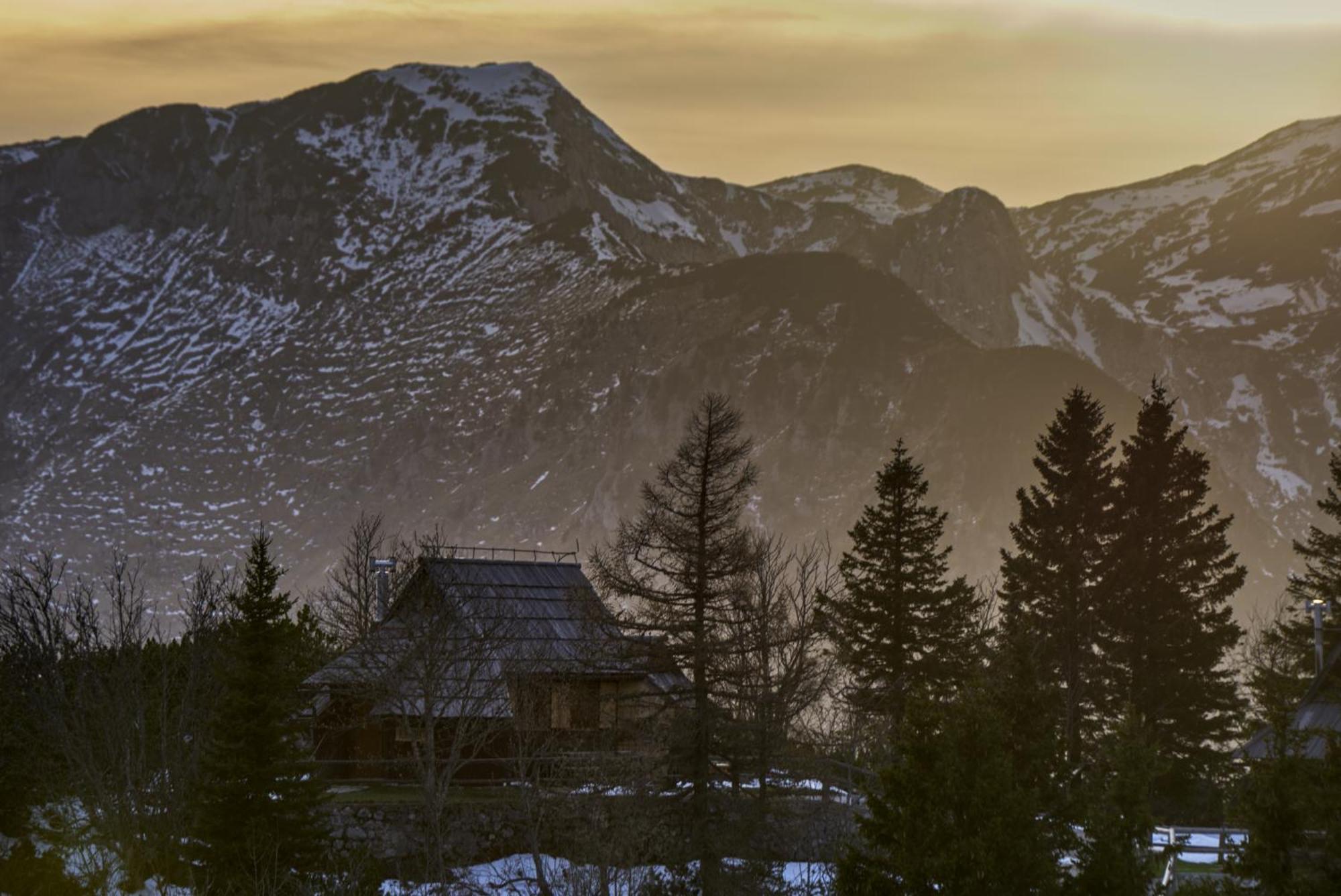 Koca Kronca - Velika Planina Stahovica Exterior photo